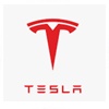 สีแต้มรถ...สำหรับ TESLA